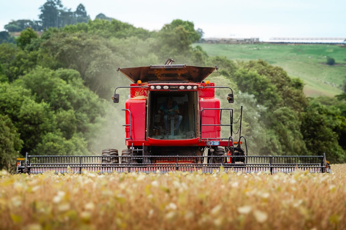 Sustainable Farming Solutions: Cultivating Success